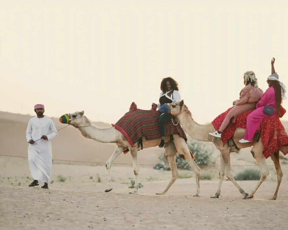 camel ride_7_11zon
